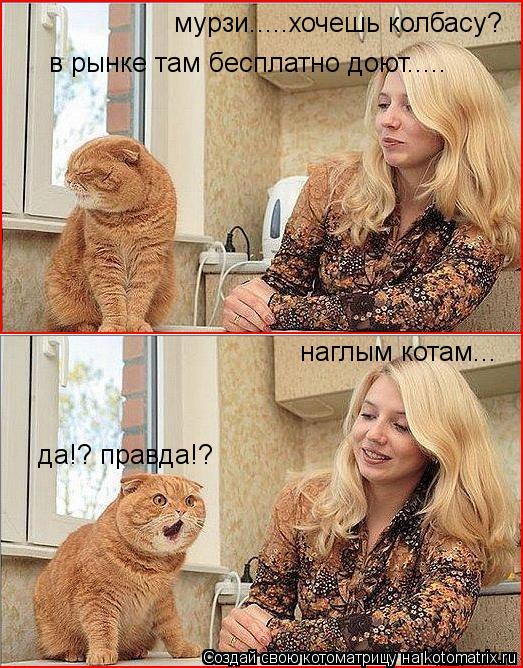 мурзи.....хочешь колбасу? в рынке там бесплатно доют..... наглым котам... да!? правда!?... Котоматрица: мурзи.....хочешь колбасу? в рынке там бесплатно доют..... наглым котам... да!? правда!?