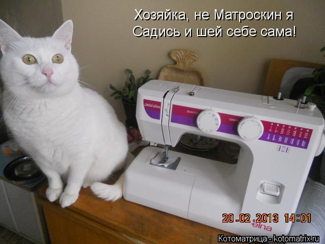 Хозяйка, не Матроскин я Садись и шей себе сама!... Котоматрица: Хозяйка, не Матроскин я Садись и шей себе сама!