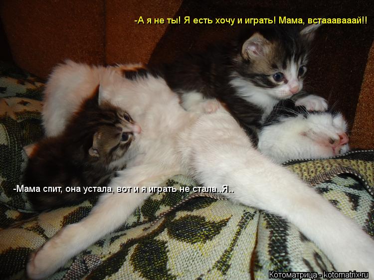 -Мама спит, она устала, вот и я играть не стала..Я.. -А я не ты! Я есть хочу и играть! Мама, встааава... Котоматрица: -Мама спит, она устала, вот и я играть не стала..Я.. -А я не ты! Я есть хочу и играть! Мама, встааавааай!!