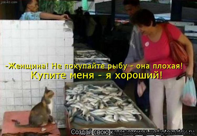 -Женщина! Не покупайте рыбу - она плохая! Купите меня - я хороший!... Котоматрица: -Женщина! Не покупайте рыбу - она плохая! Купите меня - я хороший!