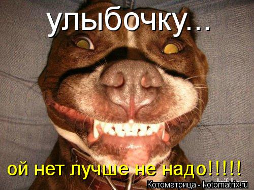 ой нет лучше не надо!!!!! улыбочку...... Котоматрица: ой нет лучше не надо!!!!! улыбочку...