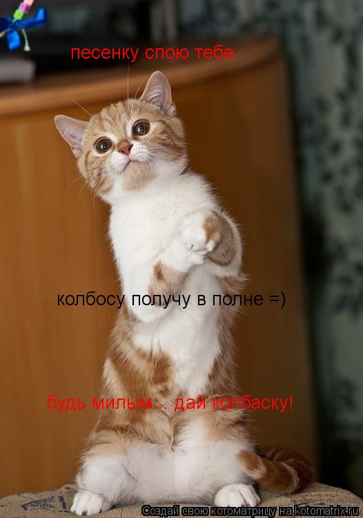 песенку спою тебе колбосу получу в полне =) будь милым... дай колбаску!... Котоматрица: песенку спою тебе колбосу получу в полне =) будь милым... дай колбаску!