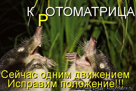 К ОТОМАТРИЦА Р Сейчас одним движением Исправим положение!!!... Котоматрица: К ОТОМАТРИЦА Р Сейчас одним движением Исправим положение!!!