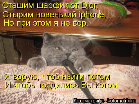 Котоматрица: Стащим шарфик от Dior, Стырим новенький iphone, Но при этом я не вор. Я ворую, чтоб найти потом И чтобы гордились Вы котом.