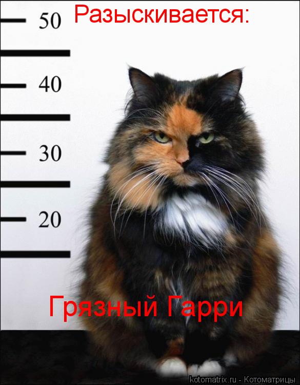 : :  