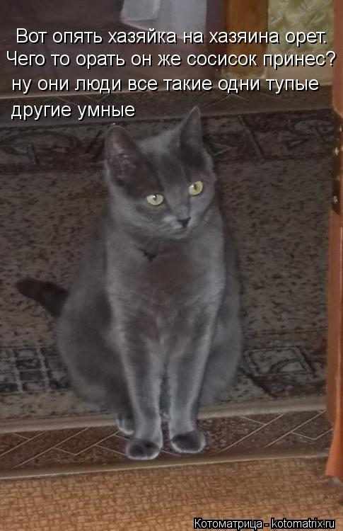 Вот опять хазяйка на хазяина орет. Чего то орать он же сосисок принес? Чего то орать он же сосисок пр... Котоматрица: Вот опять хазяйка на хазяина орет. Чего то орать он же сосисок принес? Чего то орать он же сосисок принес? ну они люди все такие одни тупые др