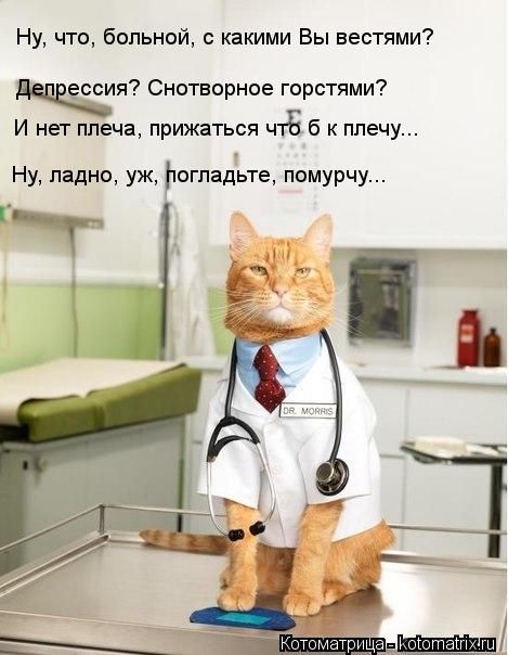 Ну, что, больной, с какими Вы вестями? Депрессия? Снотворное горстями? И нет плеча, прижаться что б к... Котоматрица: Ну, что, больной, с какими Вы вестями? Депрессия? Снотворное горстями? И нет плеча, прижаться что б к плечу... Ну, ладно, уж, погладьте, помурчу...