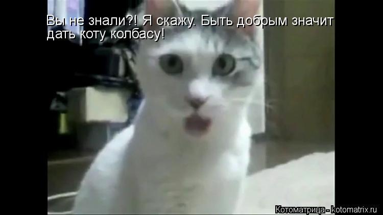 Котоматрица: Вы не знали?! Я скажу. Быть добрым значит дать коту колбасу!