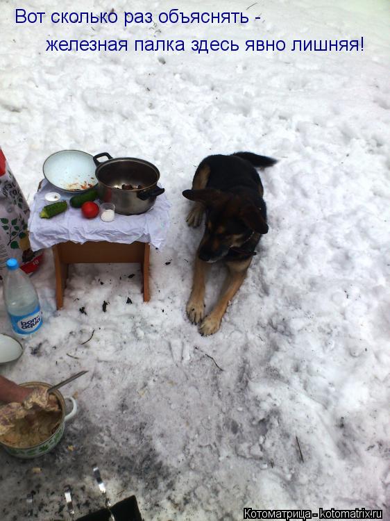Вот сколько раз объяснять - железная палка здесь явно лишняя!... Котоматрица: Вот сколько раз объяснять - железная палка здесь явно лишняя!