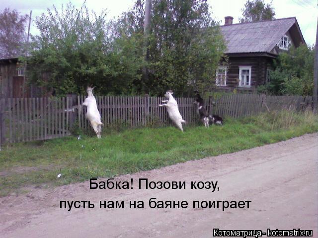 : !  ,     
