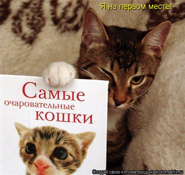 Я на первом месте!... Котоматрица: Я на первом месте!