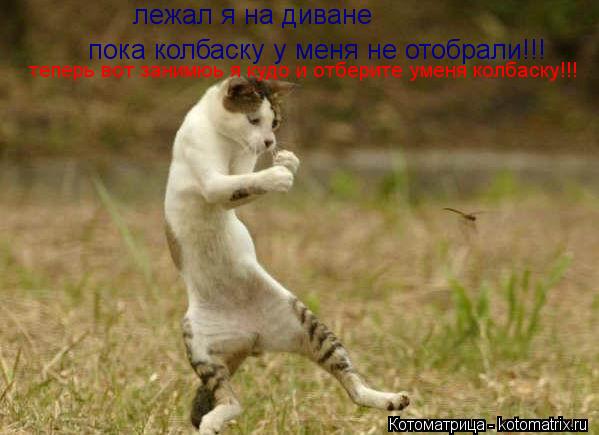 лежал я на диване пока колбаску у меня не отобрали!!! теперь вот занимюь я кудо и отберите уменя колб... Котоматрица: лежал я на диване пока колбаску у меня не отобрали!!! теперь вот занимюь я кудо и отберите уменя колбаску!!!