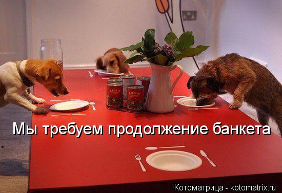 Мы требуем продолжение банкета... Котоматрица: Мы требуем продолжение банкета