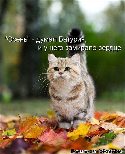 "Осень" - думал Батурин, и у него замирало сердце... Котоматрица: "Осень" - думал Батурин, и у него замирало сердце