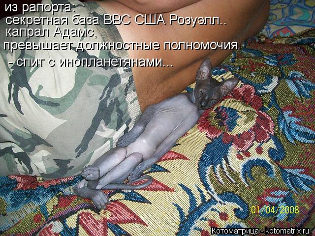 из рапорта: секретная база ВВС США Розуэлл.. капрал Адамс, превышает должностные полномочия - спит ... Котоматрица: из рапорта: секретная база ВВС США Розуэлл.. капрал Адамс, превышает должностные полномочия - спит с инопланетянами...