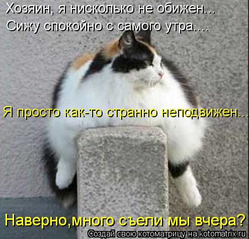 Хозяин, я нисколько не обижен... Сижу спокойно с самого утра.... Я просто как-то странно неподвижен..... Котоматрица: Хозяин, я нисколько не обижен... Сижу спокойно с самого утра.... Я просто как-то странно неподвижен... Наверно,много съели мы вчера?