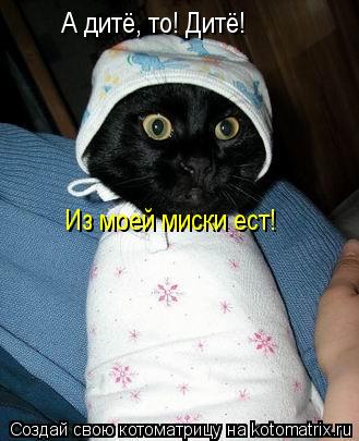 А дитё, то! Дитё! Из моей миски ест!... Котоматрица: А дитё, то! Дитё! Из моей миски ест!