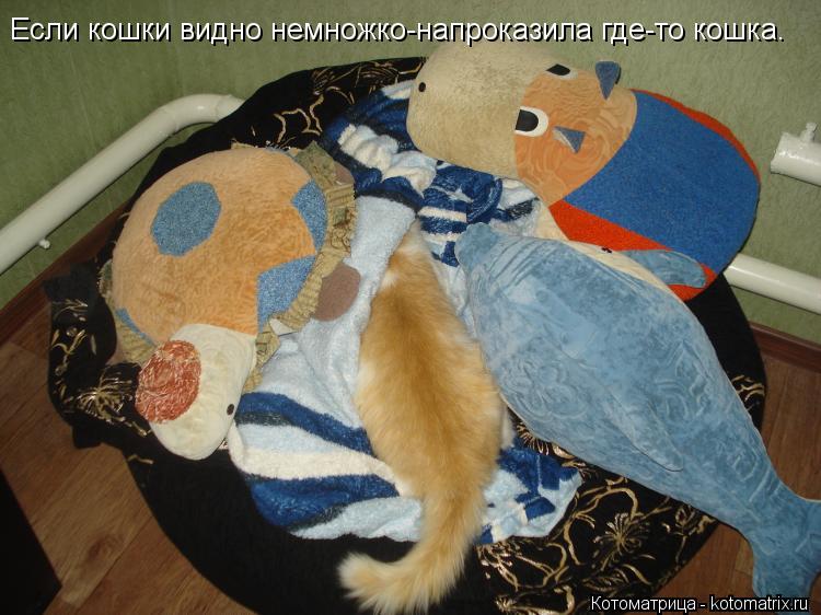 Если кошки видно немножко-напроказила где-то кошка.... Котоматрица: Если кошки видно немножко-напроказила где-то кошка.