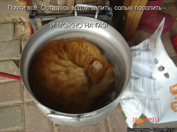 Котоматрица: Почти всё. Осталось водой залить, солью посолить - И МОЖНО НА ГАЗ!