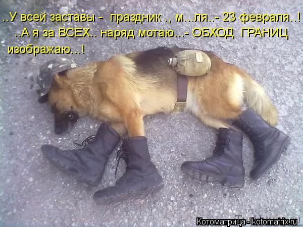 : ..   -   ., .....- 23 ..!  ..   ..  ...-        ...!