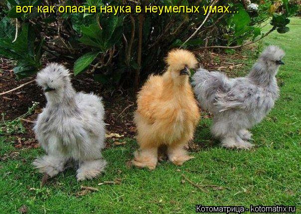 вот как опасна наука в неумелых умах...... Котоматрица: вот как опасна наука в неумелых умах...