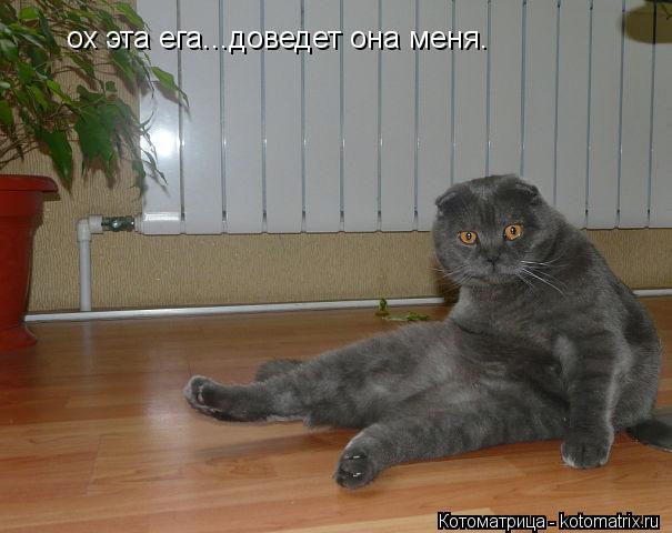 ох эта ега...доведет она меня.... Котоматрица: ох эта ега...доведет она меня.