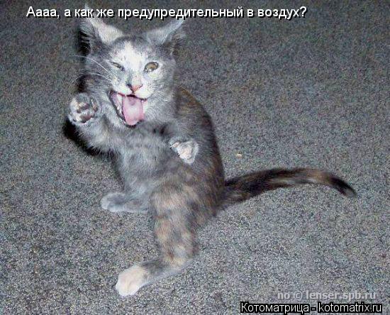 Аааа, а как же предупредительный в воздух?... Котоматрица: Аааа, а как же предупредительный в воздух?
