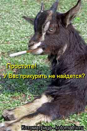 Простите! У Вас прикурить не найдется?... Котоматрица: Простите! У Вас прикурить не найдется?