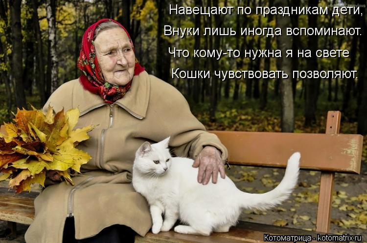 Навещают по праздникам дети, Внуки лишь иногда вспоминают. Что кому-то нужна я на свете Кошки чувство... Котоматрица: Навещают по праздникам дети, Внуки лишь иногда вспоминают. Что кому-то нужна я на свете Кошки чувствовать позволяют.