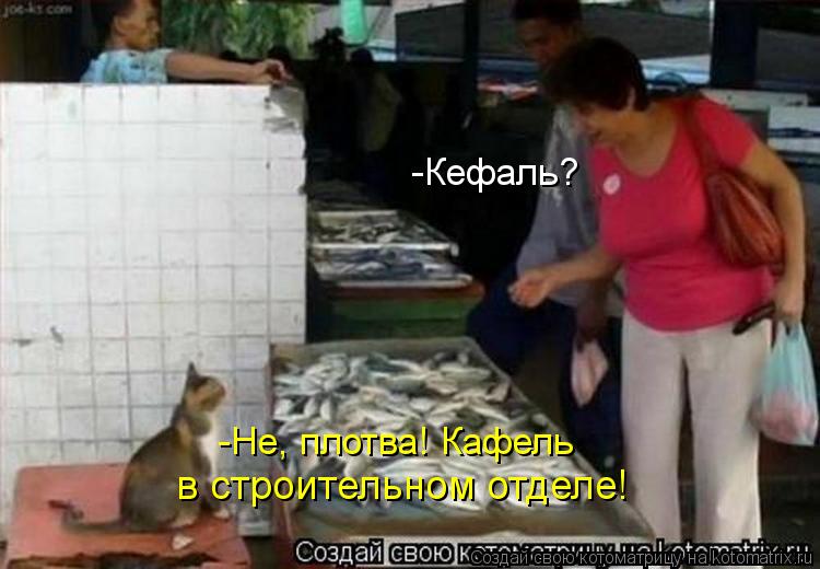 Котоматрица: -Кефаль? -Не, плотва! Кафель  в строительном отделе!