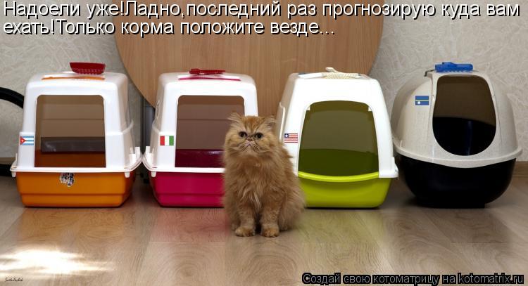 Надоели уже!Ладно,последний раз прогнозирую куда вам ехать!Только корма положите везде...... Котоматрица: Надоели уже!Ладно,последний раз прогнозирую куда вам ехать!Только корма положите везде...