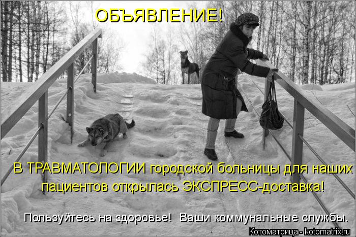 ОБЪЯВЛЕНИЕ! В ТРАВМАТОЛОГИИ городской больницы для наших пациентов открылась ЭКСПРЕСС-доставка! Польз... Котоматрица: ОБЪЯВЛЕНИЕ! В ТРАВМАТОЛОГИИ городской больницы для наших пациентов открылась ЭКСПРЕСС-доставка! Пользуйтесь на здоровье! Ваши коммунальн