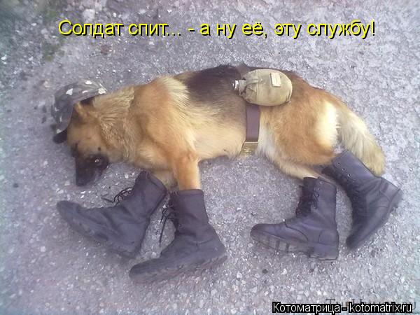 Солдат спит... - а ну её, эту службу!... Котоматрица: Солдат спит... - а ну её, эту службу!