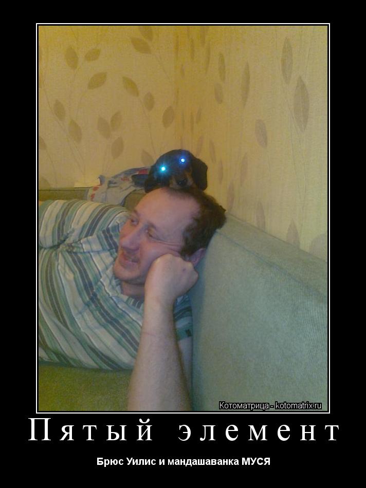 Пятый элемент Брюс Уилис и мандашаванка МУСЯ... Котоматрица: Пятый элемент Брюс Уилис и мандашаванка МУСЯ