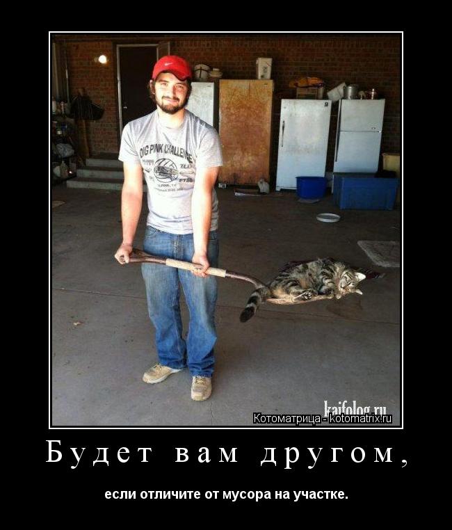 Будет вам другом, если отличите от мусора на участке.... Котоматрица: Будет вам другом, если отличите от мусора на участке.