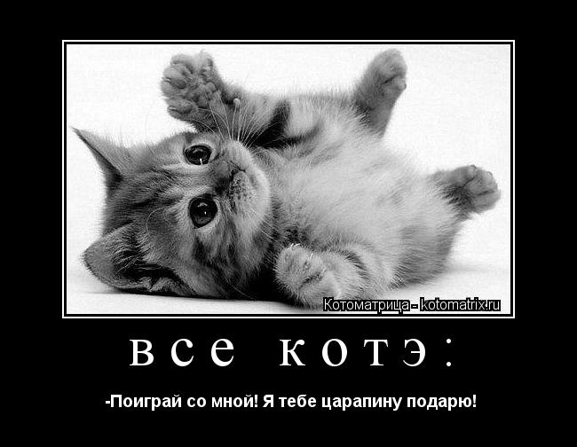 все котэ: -Поиграй со мной! Я тебе царапину подарю!... Котоматрица: все котэ: -Поиграй со мной! Я тебе царапину подарю!