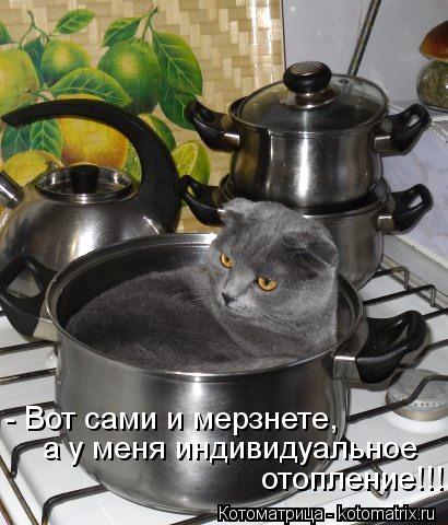 - Вот сами и мерзнете, а у меня индивидуальное отопление!!!... Котоматрица: - Вот сами и мерзнете, а у меня индивидуальное отопление!!!