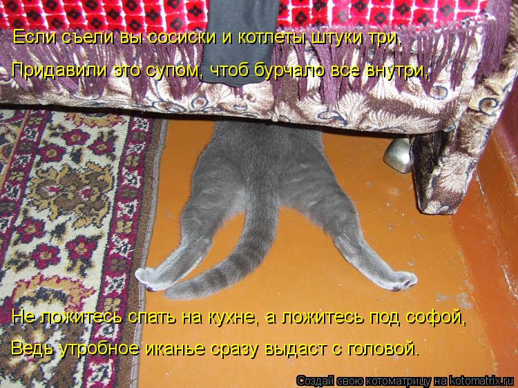 Если съели вы сосиски и котлеты штуки три, Придавили это супом, чтоб бурчало все внутри, Не ложитесь... Котоматрица: Если съели вы сосиски и котлеты штуки три, Придавили это супом, чтоб бурчало все внутри, Не ложитесь спать на кухне, а ложитесь под софой, Ве