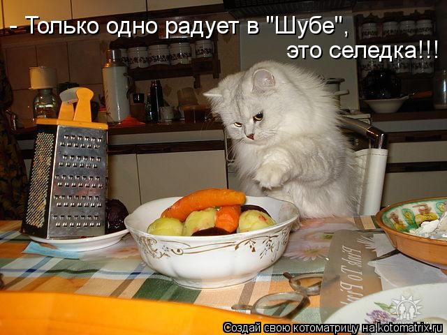 - Только одно радует в "Шубе", это селедка!!!... Котоматрица: - Только одно радует в "Шубе", это селедка!!!