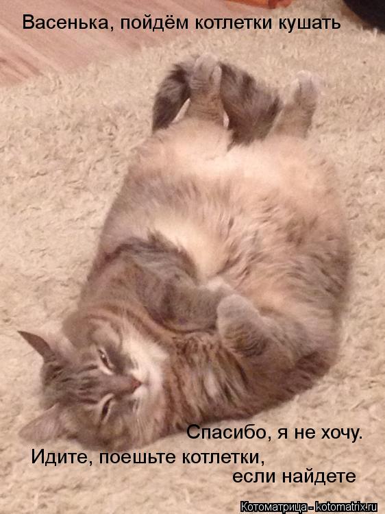 Васенька, пойдём котлетки кушать Спасибо, я не хочу. Идите, поешьте котлетки, если найдете... Котоматрица: Васенька, пойдём котлетки кушать Спасибо, я не хочу. Идите, поешьте котлетки, если найдете