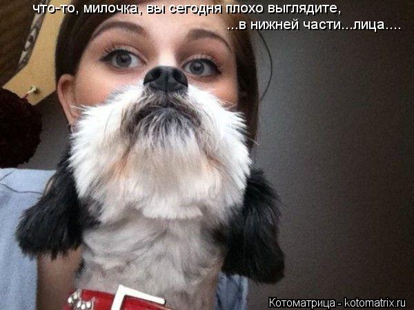 что-то, милочка, вы сегодня плохо выглядите, ...в нижней части...лица....... Котоматрица: что-то, милочка, вы сегодня плохо выглядите, ...в нижней части...лица....