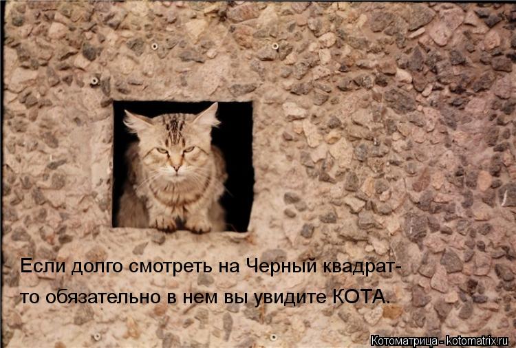 Если долго смотреть на Черный квадрат- то обязательно в нем вы увидите КОТА.... Котоматрица: Если долго смотреть на Черный квадрат- то обязательно в нем вы увидите КОТА.