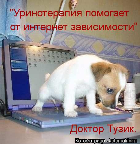 "Уринотерапия помогает от интернет зависимости" Доктор Тузик.... Котоматрица: "Уринотерапия помогает от интернет зависимости" Доктор Тузик.