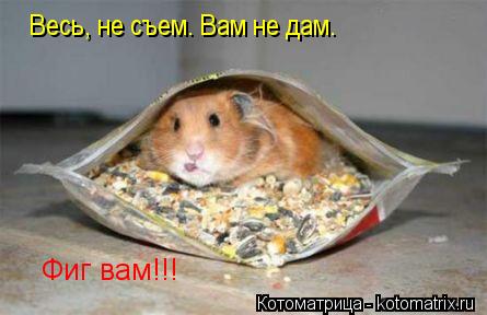 Весь, не съем. Вам не дам. Фиг вам!!!... Котоматрица: Весь, не съем. Вам не дам. Фиг вам!!!
