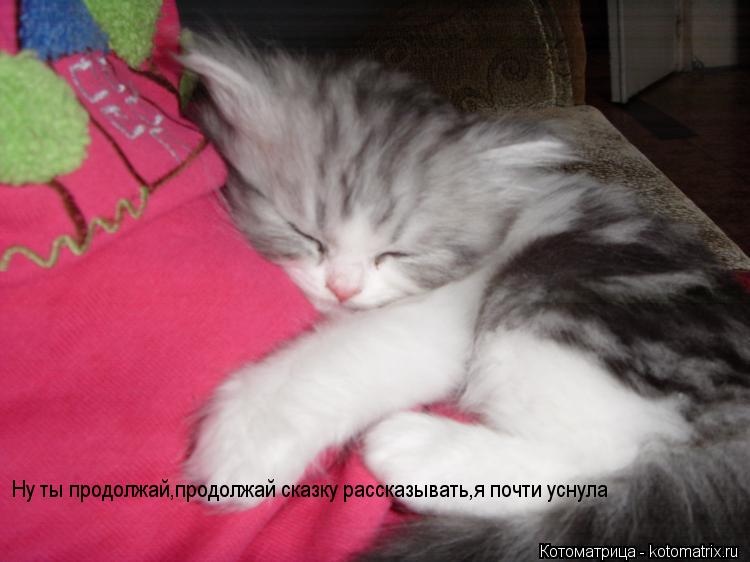 Ну ты продолжай,продолжай сказку рассказывать,я почти уснула... Котоматрица: Ну ты продолжай,продолжай сказку рассказывать,я почти уснула