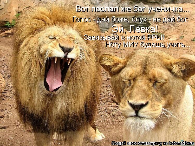 Вот послал же бог ученичка... Голос - дай боже, слух - не дай бог. Эй, Лёвка! Завязывай с нотой РРЫ! ... Котоматрица: Вот послал же бог ученичка... Голос - дай боже, слух - не дай бог. Эй, Лёвка! Завязывай с нотой РРЫ! Ноту МИУ будешь учить...