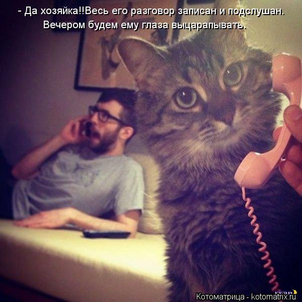 - Да хозяйка!!Весь его разговор записан и подслушан. Вечером будем ему глаза выцарапывать.... Котоматрица: - Да хозяйка!!Весь его разговор записан и подслушан. Вечером будем ему глаза выцарапывать.