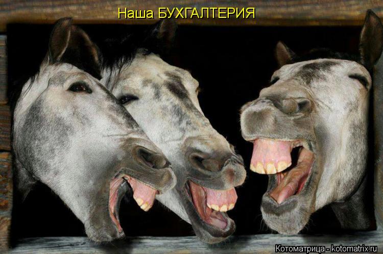 Наша БУХГАЛТЕРИЯ Наша БУХГАЛТЕРИЯ... Котоматрица: Наша БУХГАЛТЕРИЯ Наша БУХГАЛТЕРИЯ