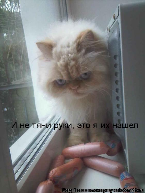 Котоматрица: И не тяни руки, это я их нашел