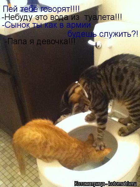Пей тебе говорят!!!! -Небуду это вода из туалета!!! -Сынок ты как в армии будешь служить?! -Папа я ... Котоматрица: Пей тебе говорят!!!! -Небуду это вода из туалета!!! -Сынок ты как в армии будешь служить?! -Папа я девочка!!!